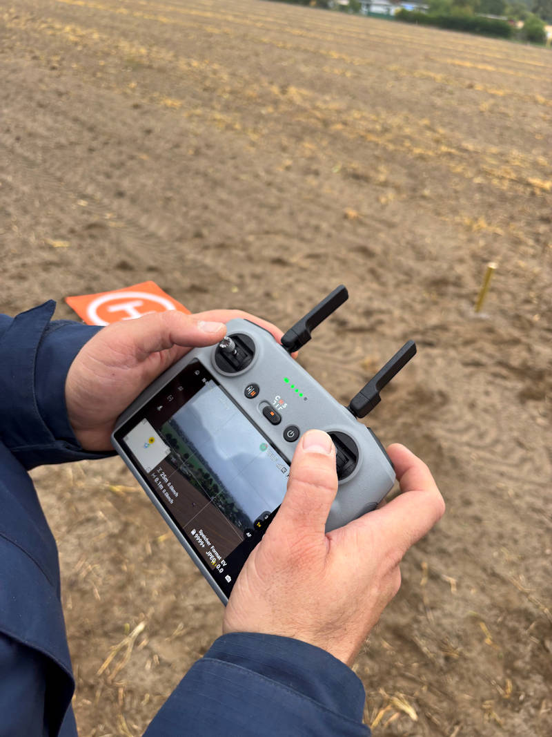 Untersuchungen am Teichberg 3