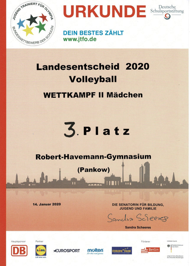 Volleyball 3. Platz